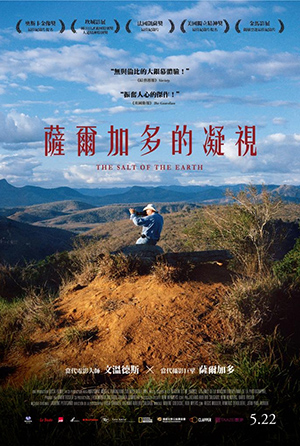 薩爾加多的凝視