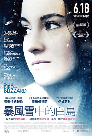 暴風雪中的白鳥