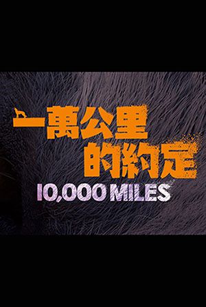 一萬公里的約定